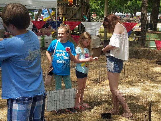 Children’s Activities